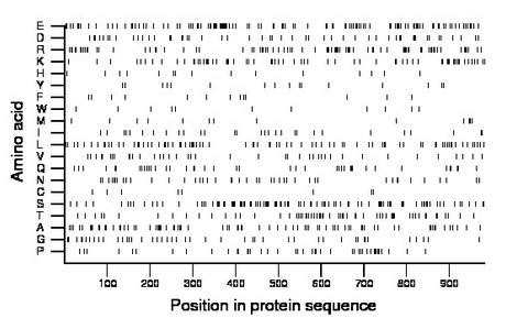 amino acid map