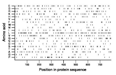 amino acid map