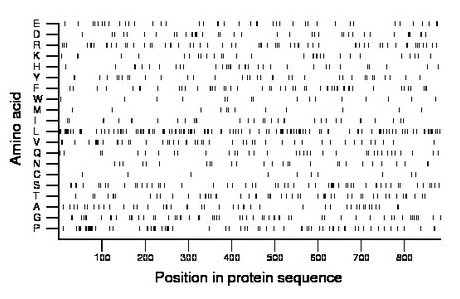 amino acid map