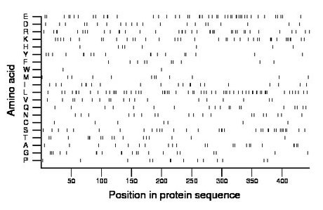 amino acid map