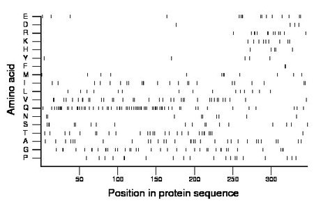 amino acid map