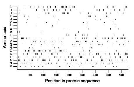 amino acid map