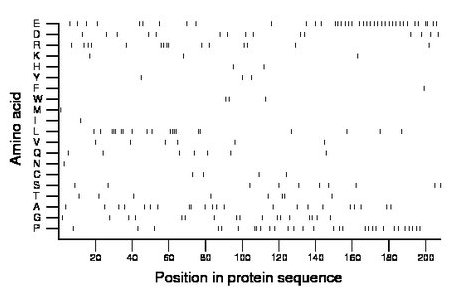 amino acid map