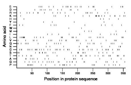 amino acid map