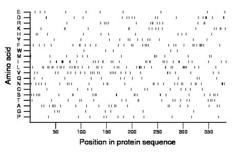 amino acid map