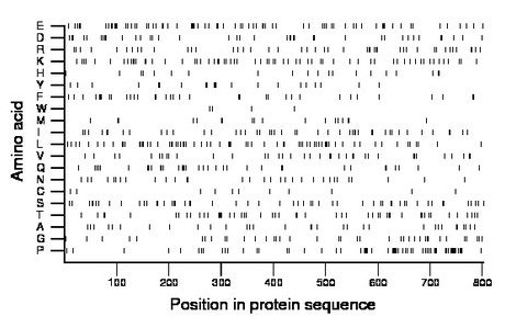 amino acid map