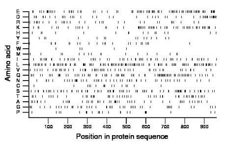 amino acid map