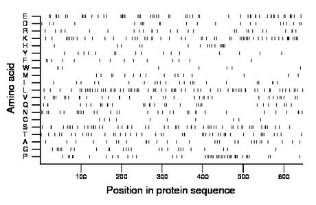 amino acid map