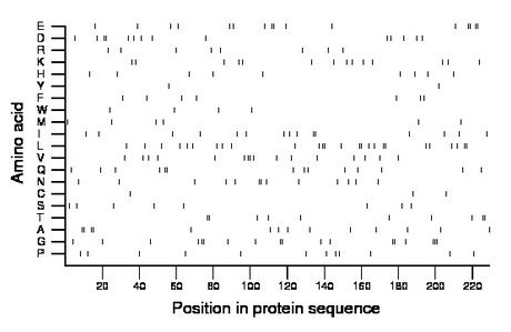 amino acid map