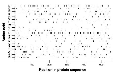 amino acid map