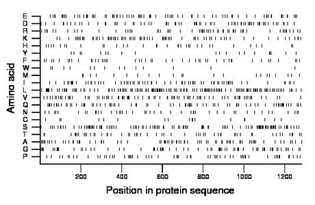 amino acid map