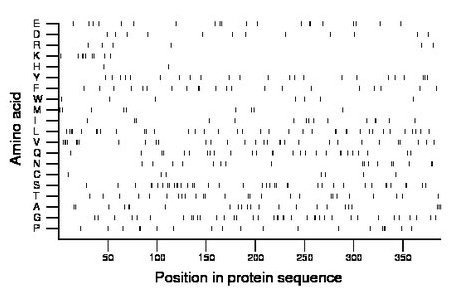 amino acid map