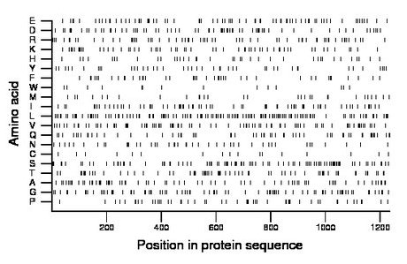 amino acid map