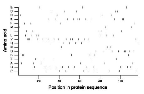 amino acid map