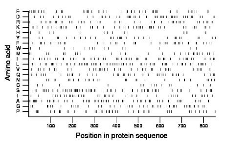 amino acid map