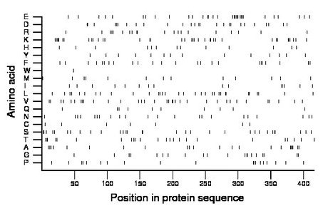 amino acid map