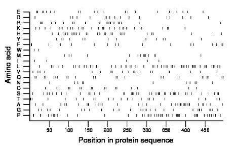 amino acid map