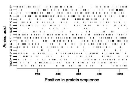 amino acid map