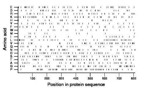 amino acid map