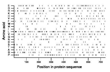 amino acid map