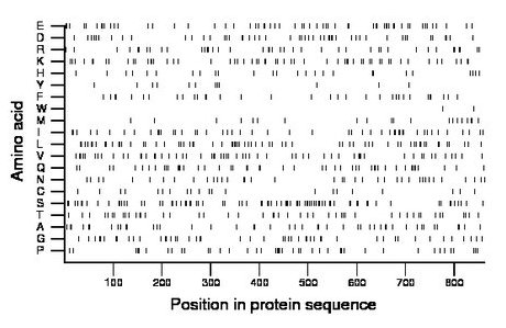 amino acid map