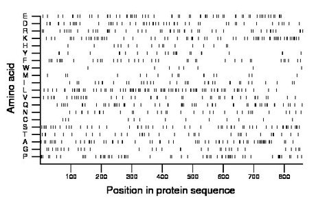 amino acid map