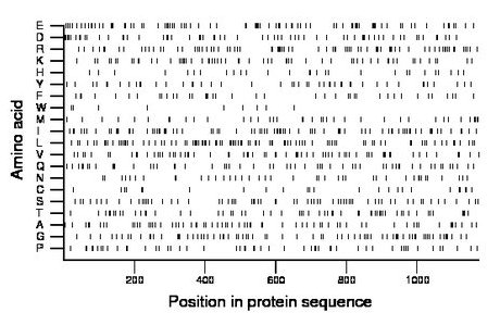 amino acid map