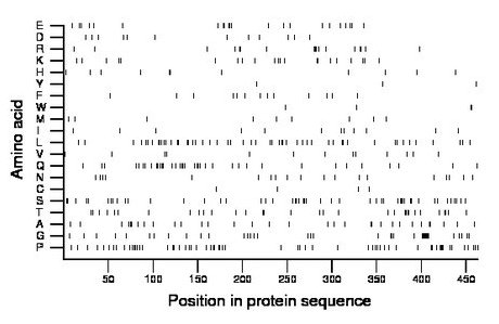 amino acid map