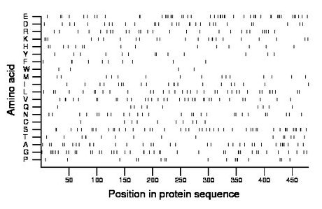 amino acid map