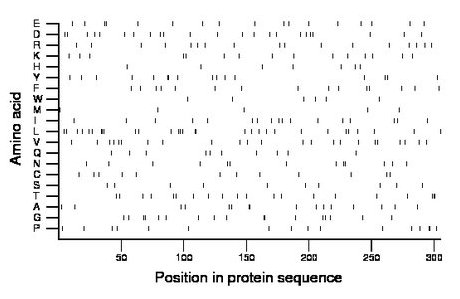 amino acid map