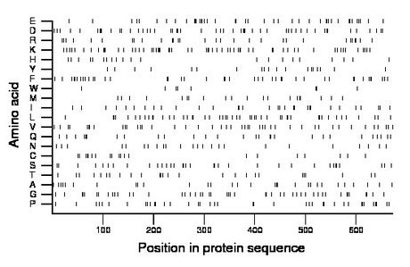 amino acid map