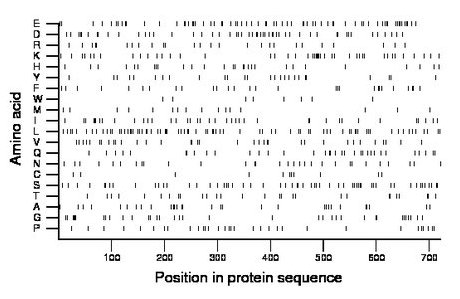 amino acid map