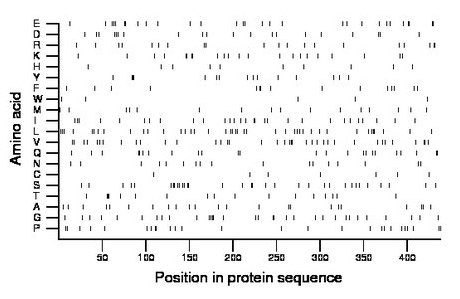 amino acid map