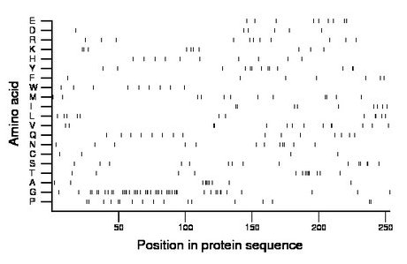 amino acid map