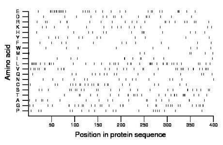 amino acid map