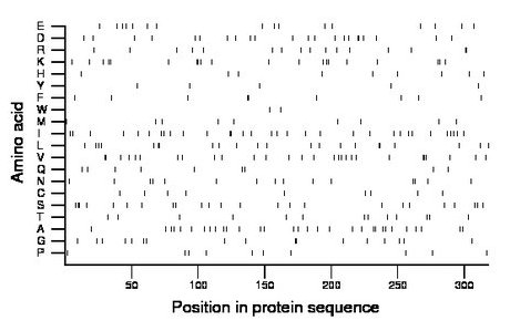 amino acid map