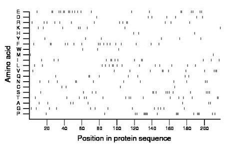 amino acid map