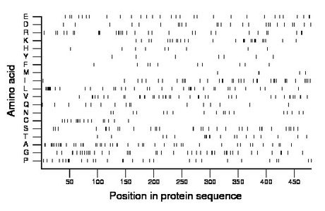 amino acid map