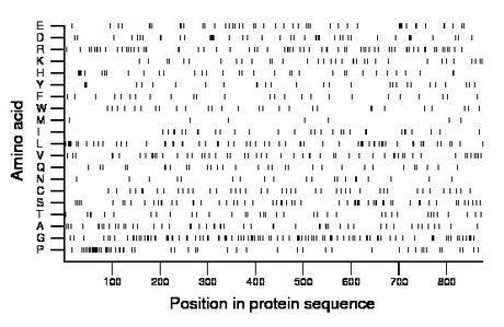 amino acid map