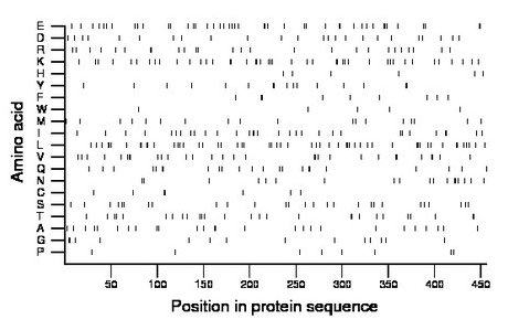 amino acid map