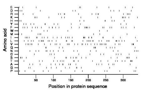 amino acid map