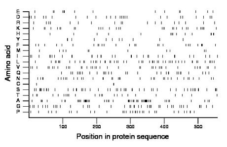 amino acid map