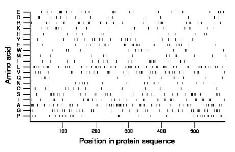 amino acid map