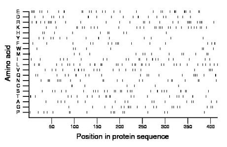 amino acid map