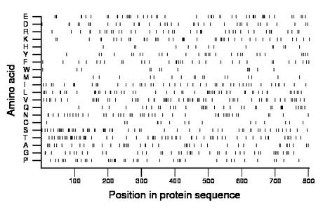 amino acid map