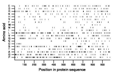 amino acid map