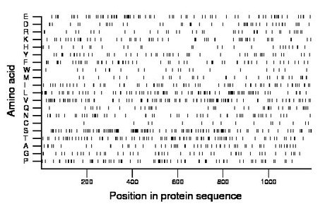 amino acid map