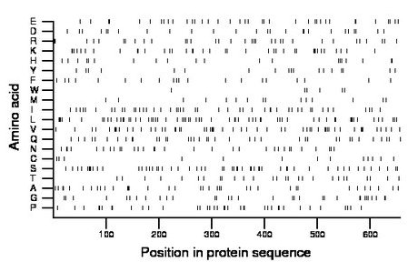 amino acid map