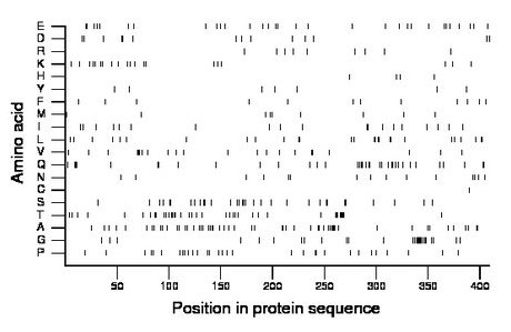 amino acid map