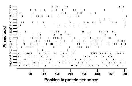 amino acid map